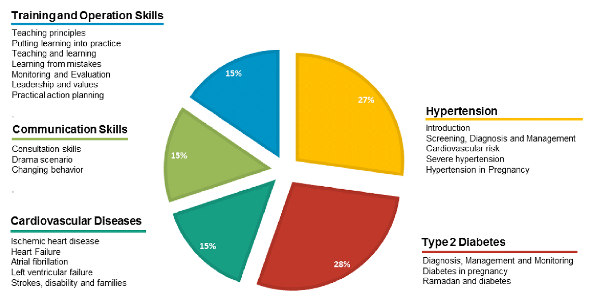 The content of the training curriculum in the workshops