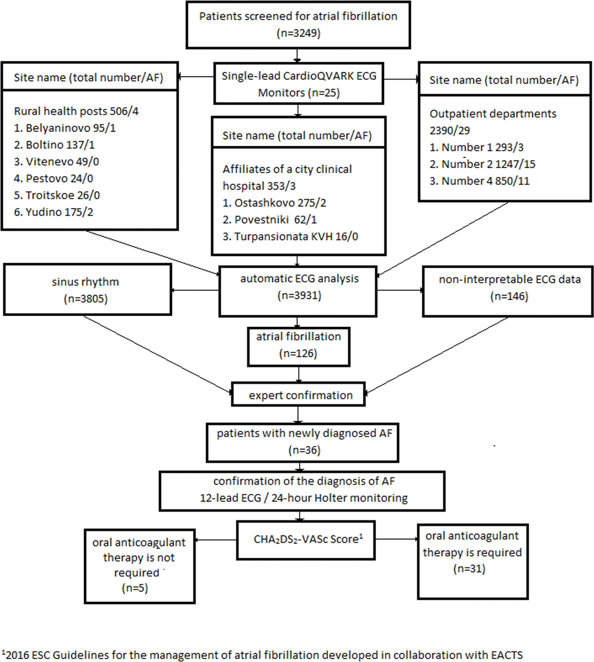 Flow chart of study patients and procedures. AF: atrial fibrillation, ECG: electrocardiogram.