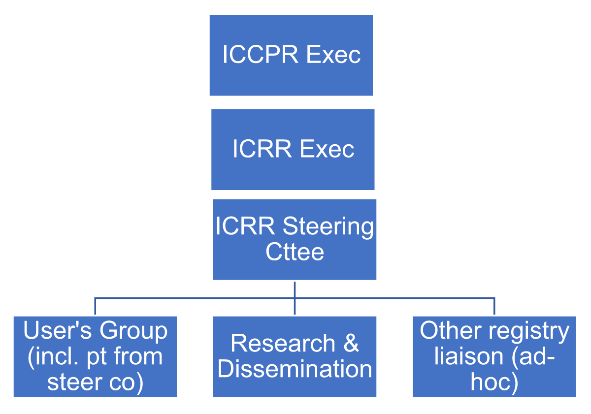 ICRR Governance organization chart