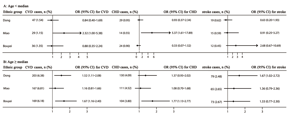 The risk of cardiovascular diseases, coronary heart disease, and stroke stratified by the median of age. Adjusted for sex, residence, tobacco smoking status, alcohol drinking status, total physical activity, total energy intake, family history of cardiovascular diseases, body mass index, and systolic blood pressure, fasting plasma glucose, and triglycerides levels. CHD, coronary heart disease; CI, confidence interval; CVDs, cardiovascular diseases; OR, odd ratio. The median of age were 52, 51, and 51 years in the Dong, Miao, and Bouyei ethnic groups, respectively