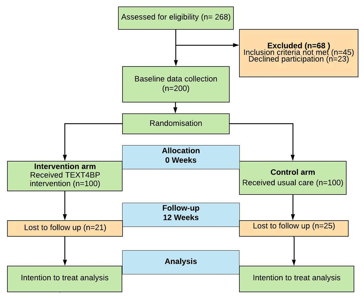 CONSORT flow diagram of the TEXT4BP Study