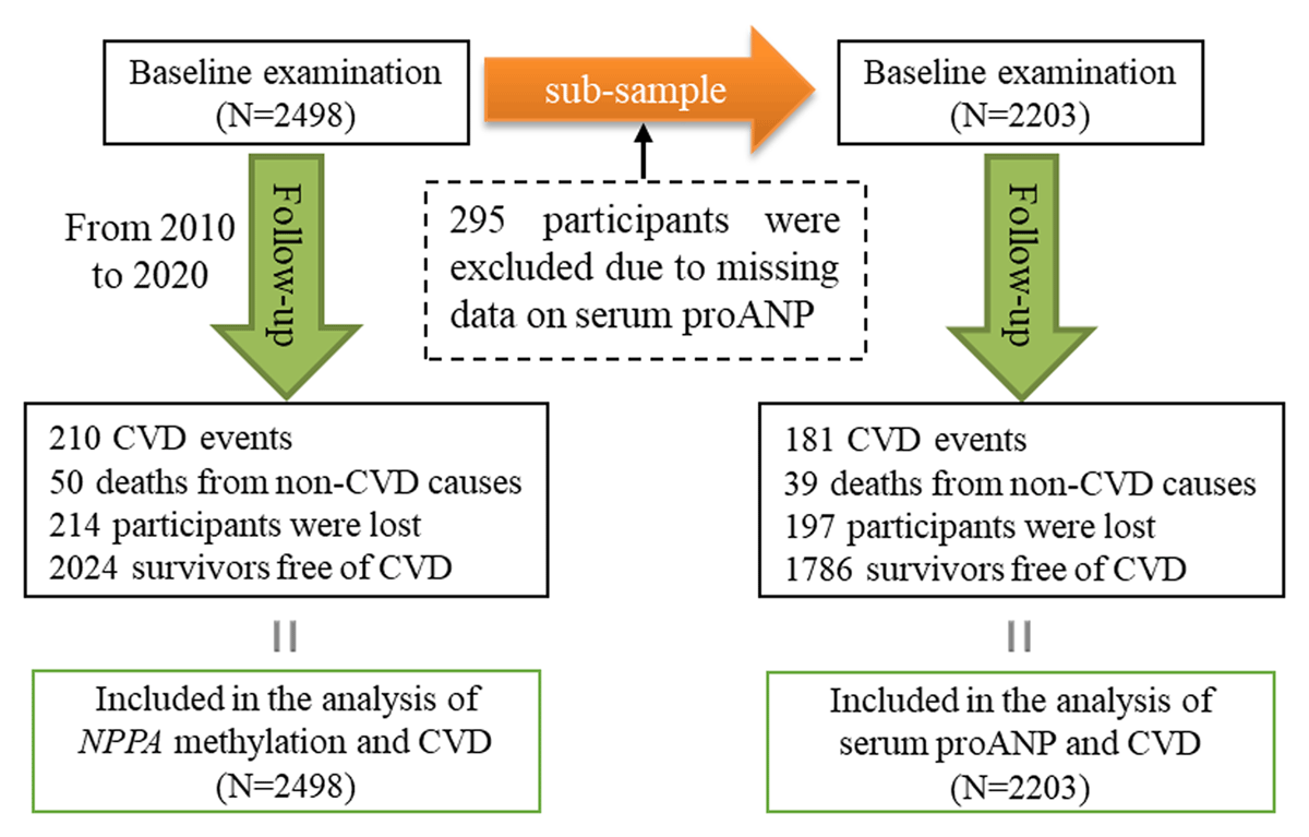 A flowchart illustrating the selection of study participants and statistical plan in the current study