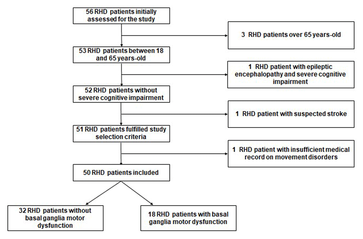 56 RHD patients initially assessed, 50 patients included, of which 18 with BGMD