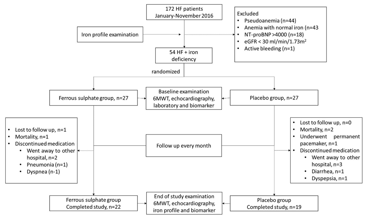 A workflow diagram on getting the 19 placebo subjects and 22 ferrous subjects