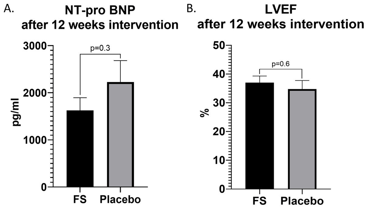 Two diagrams showing that ferrous sulphate was not significantly better than placebo on NT-pro BNP level & LVEF after 12 weeks intervention