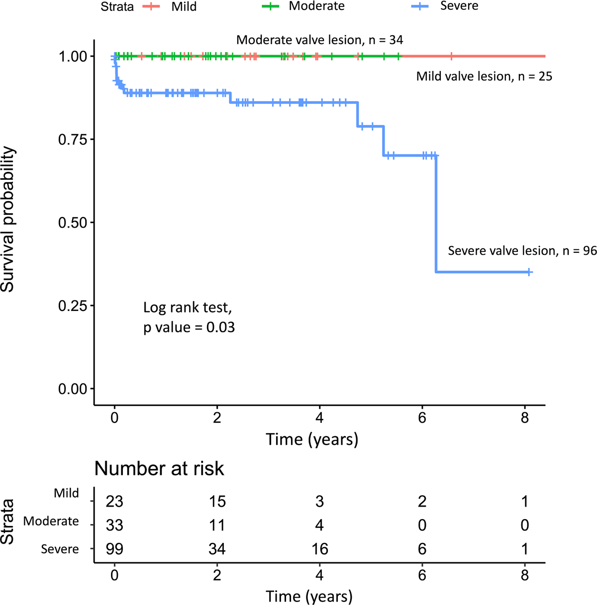 Children with severe valve lesions had lower survival rate than mild to moderate valve lesions