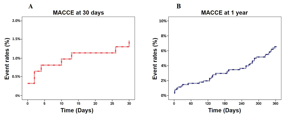 Major adverse cardiovascular and cerebrovascular events (MACCE) during follow-up