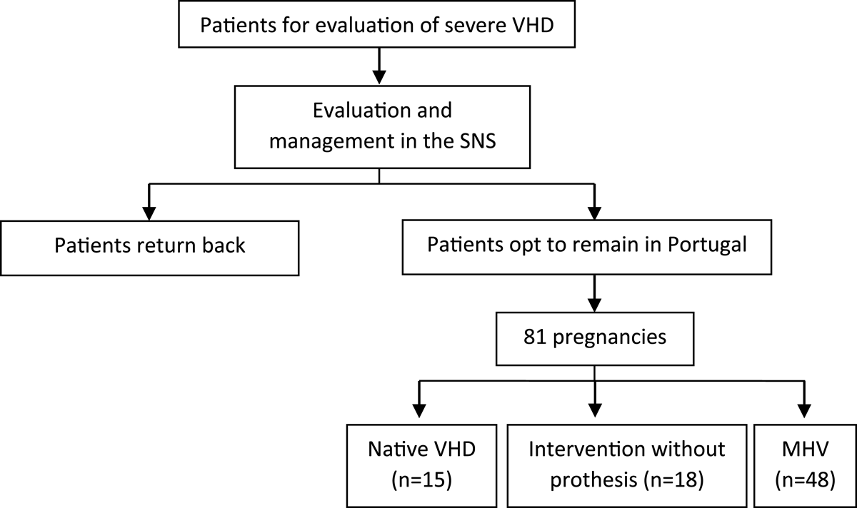 Patient trajectory in our cohort