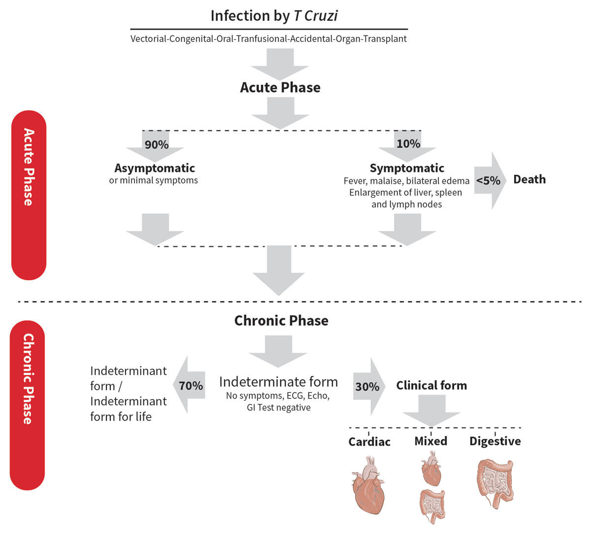 Three and two-dimensional cardiac mechanics by speckle tracking are  predictors of outcomes in chagas heart disease