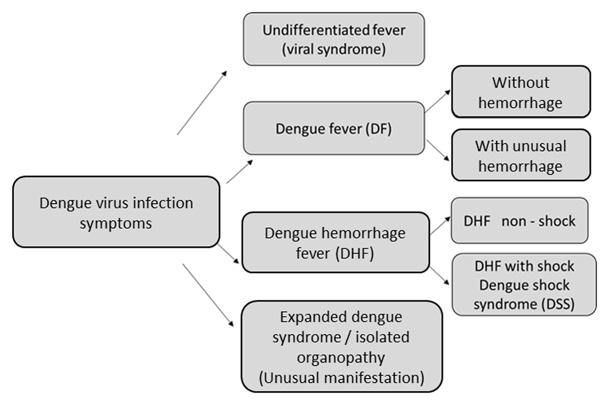 dengue hemorrhagic fever virus