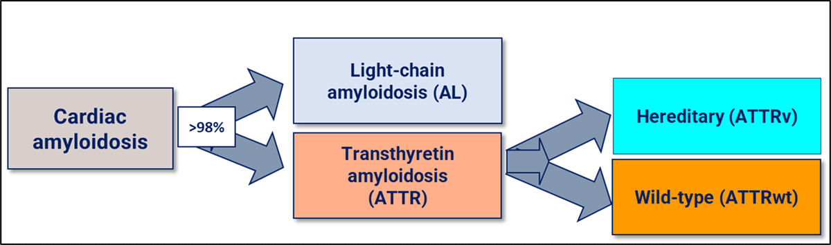 Frequent amyloidosis subtypes affecting the heart