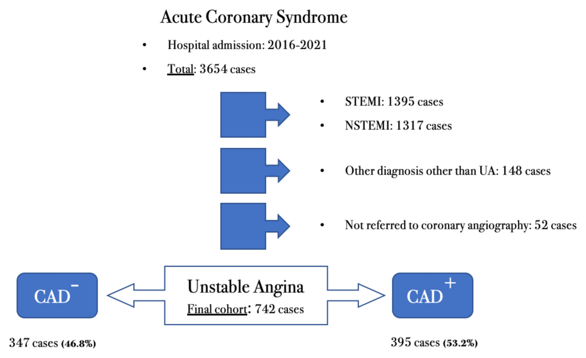 Flow diagram of the study