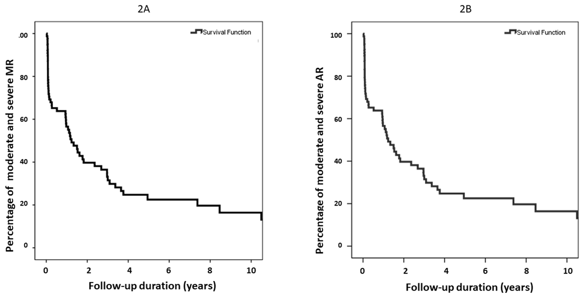 Regression of moderate-severe MR and AR after ARF