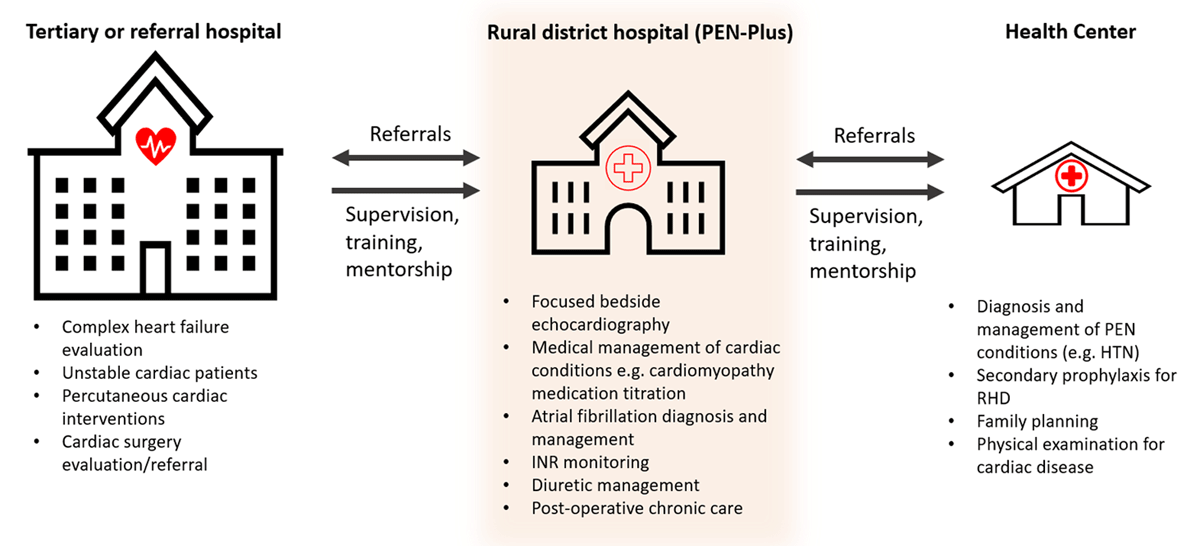 Cardiac service provision at each level of the health system