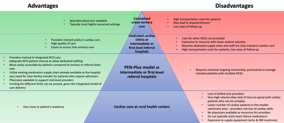 Advantages and disadvantages of decentralization at different health system levels