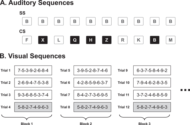 Screen capture from the control phase in the high semanticity