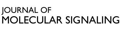 Journal Name Logo