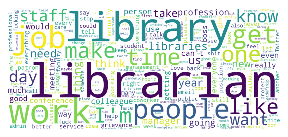 Word cloud showing top 100 terms used in corpus