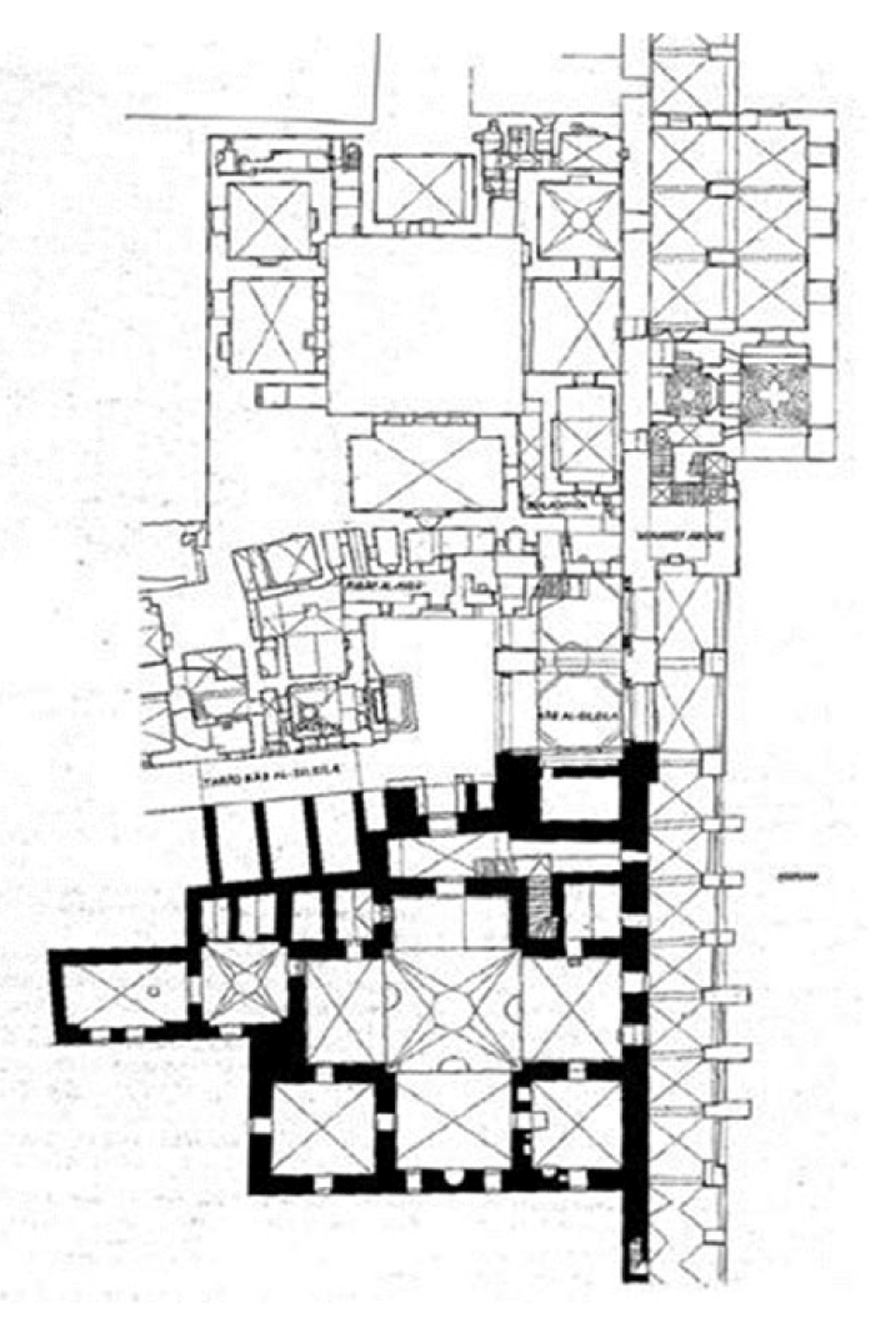 Plan of the Madrassa al-Tankiziyya seen from above