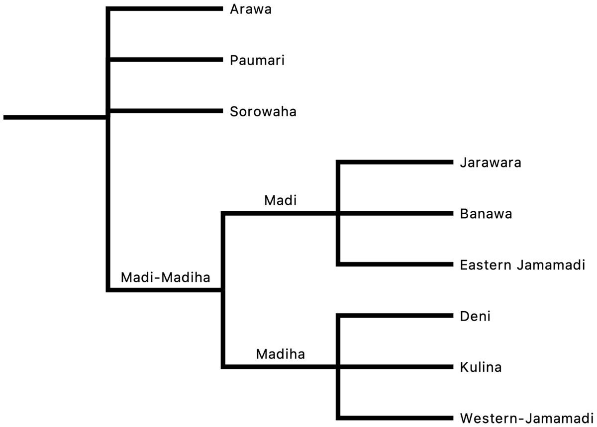 Stefan Dienst’s classification of Arawan languages