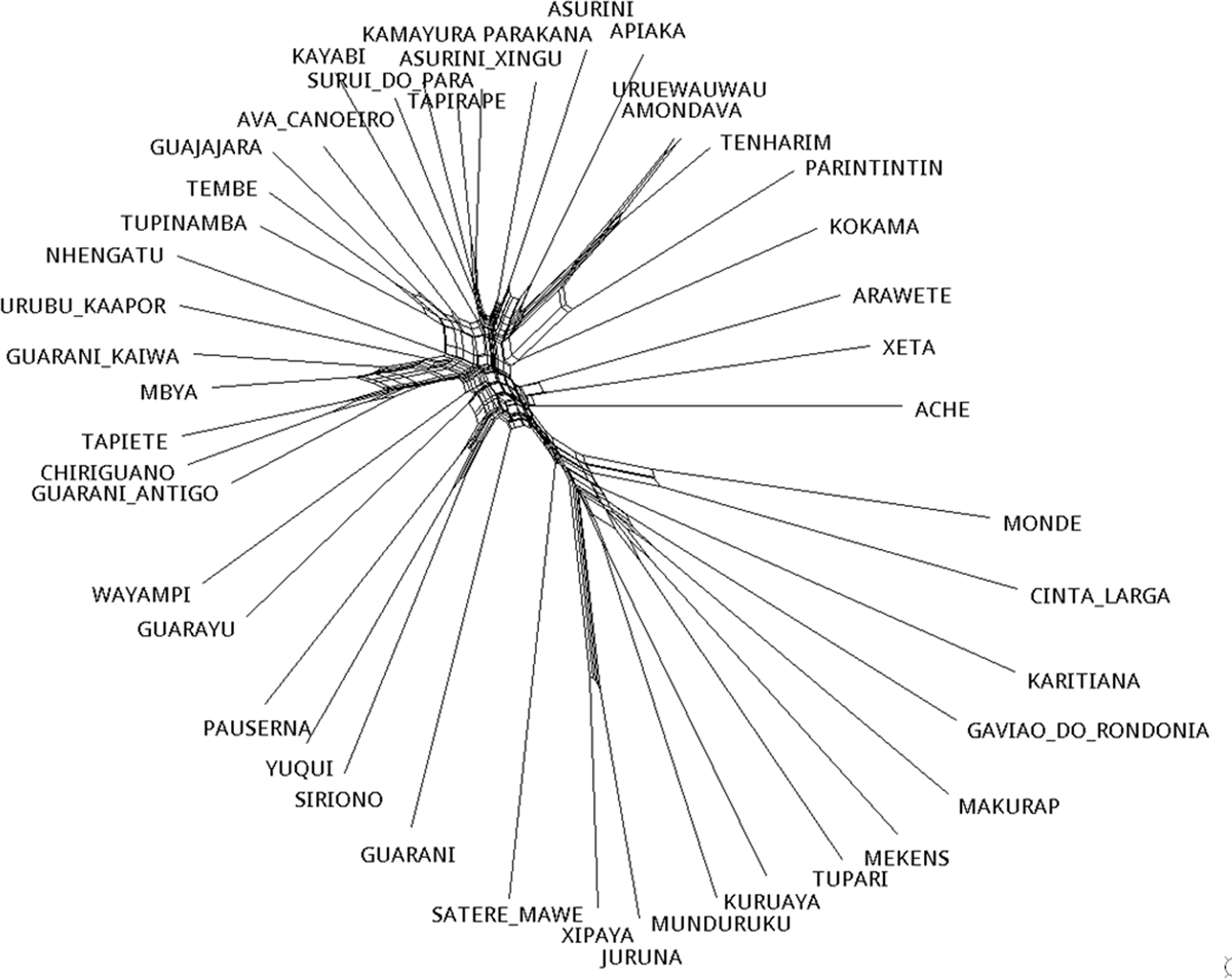 A neighbour-net for the dataset’s Tupian languages