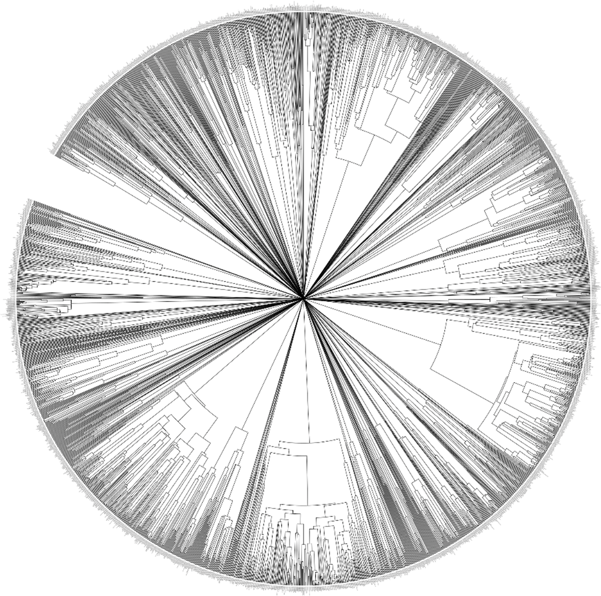 A radial global language tree with all the dataset’s doculects