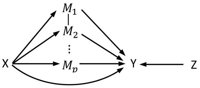 Path diagram for mediation analysis model with multiple mediators.