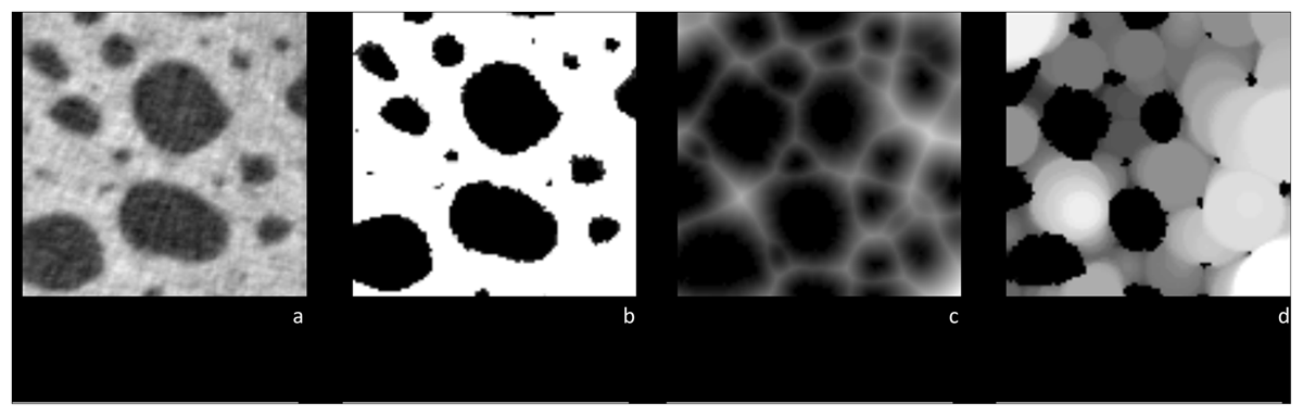 Example of a trabecular bone with a scale bar of 2mm and the respective measurements