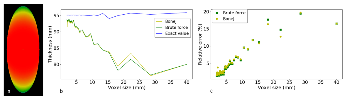 Accuracy of thickness computations on ellipsoid. a) Slice through the analytically derived local thickness map of the ellipsoid with diameters 100 × 100 × 300 mm3