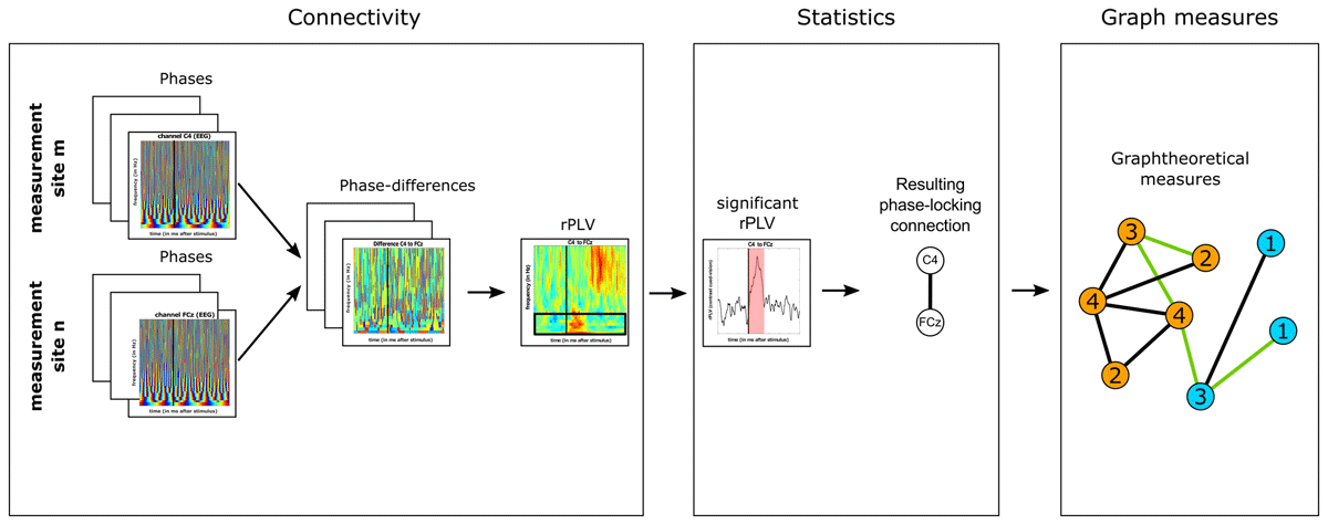 Connectivity, statistics and graph measures pipeline