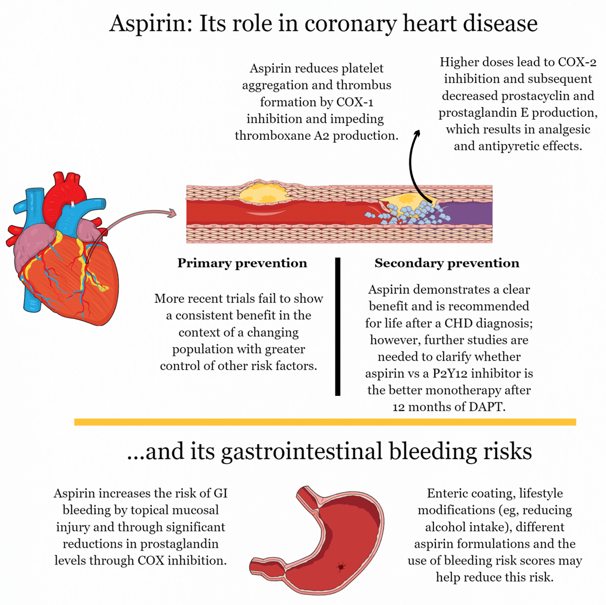 coronary artery disease prevention