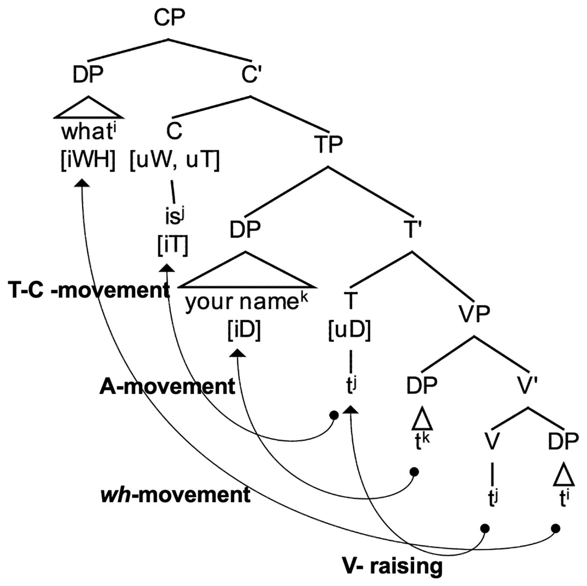 ‘what is your name’ assumed syntactic structure