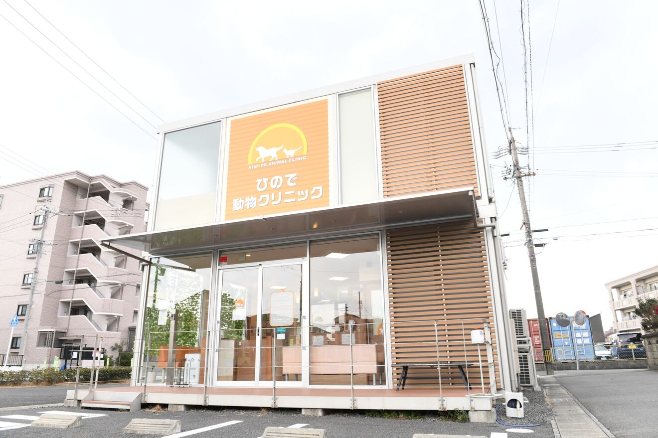 獣医師募集中！【新卒・経験者問わず】
