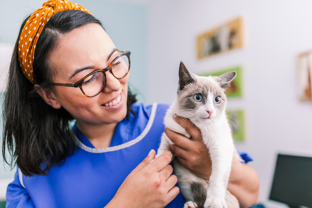 A vet wearing scrubs holding a cat in an x-ray room.