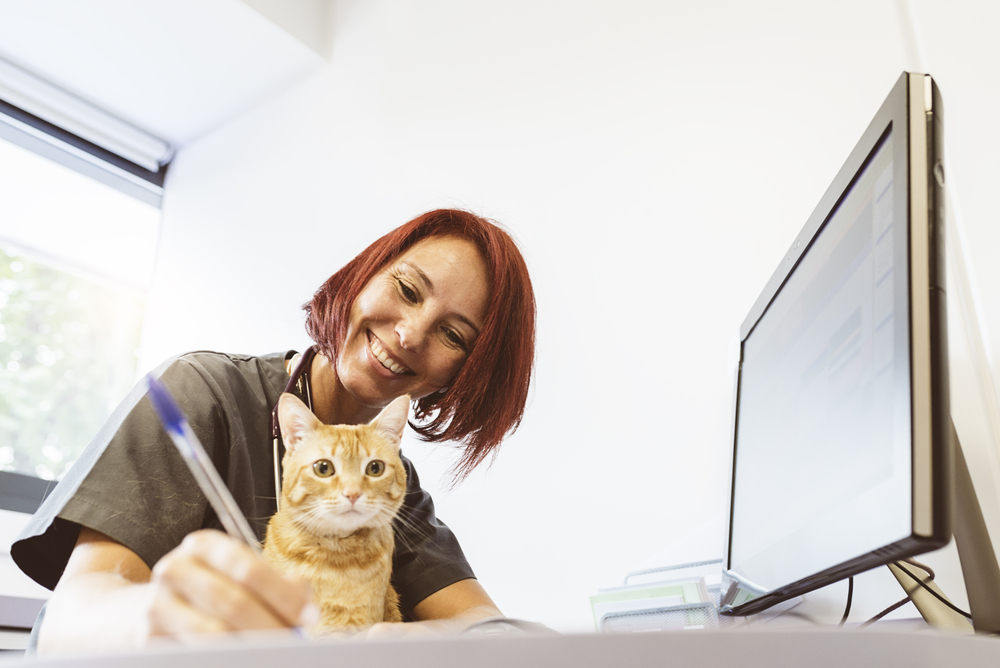 A vet working at a computer with a cat on her lap.