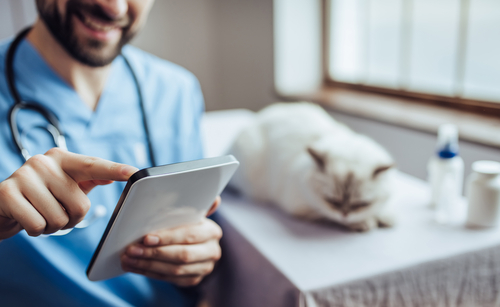 A vet using a tablet.