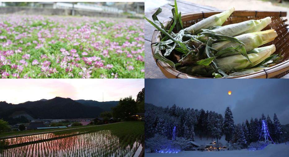 13288_岡山県_西粟倉村_百年の森林_1