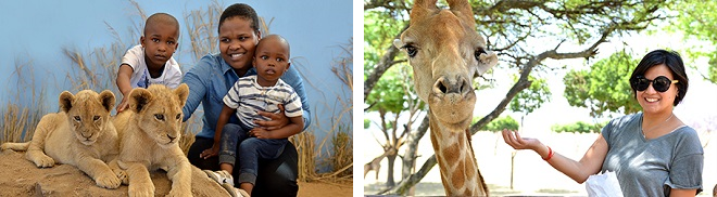 Lion & Safari Park