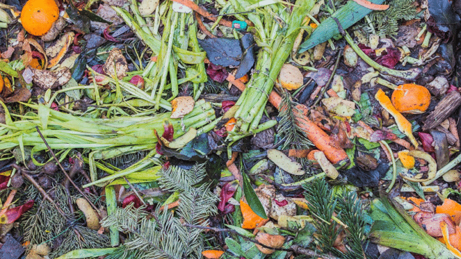 kitchen waste for compost heap