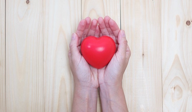 charity community hands holding a red heart