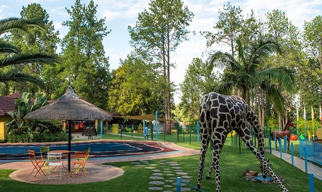 pine forest pre primary school