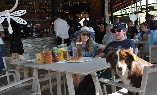 Delta Cafe and Don Quixote