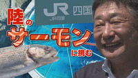 「鉄道会社・JR四国が「サーモン養殖」に挑む！？　畑ど真ん中のいけすから養殖業を救え」の画像