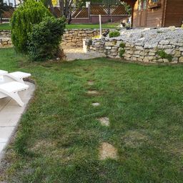 Somogyi Boldizsár E.V.