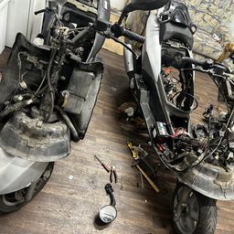 Király Dávid Balázs EV.