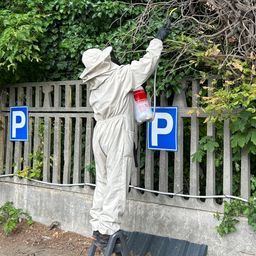 BugInfo Kft. - Bába Mihály