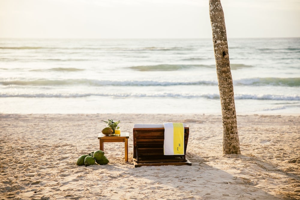 Where Jungle Whispers Meet Ocean Waves hero image