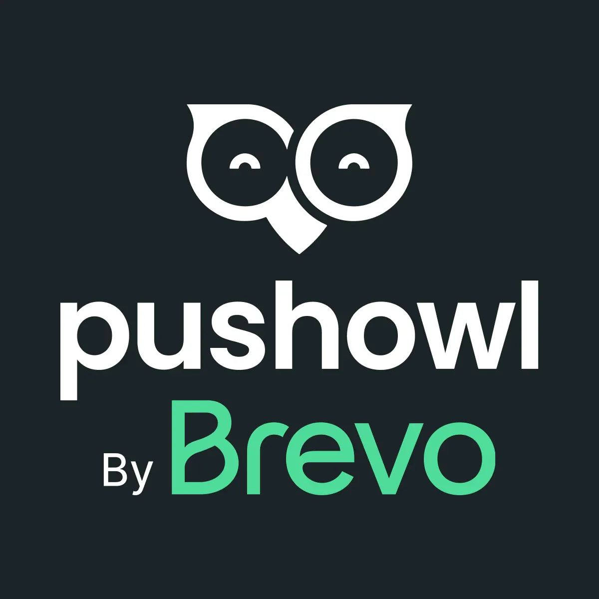 Pushowl