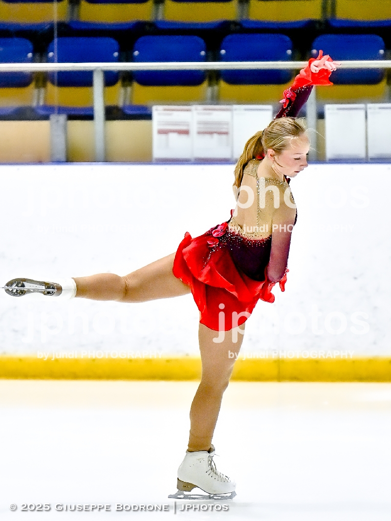 Northern Lights-3844