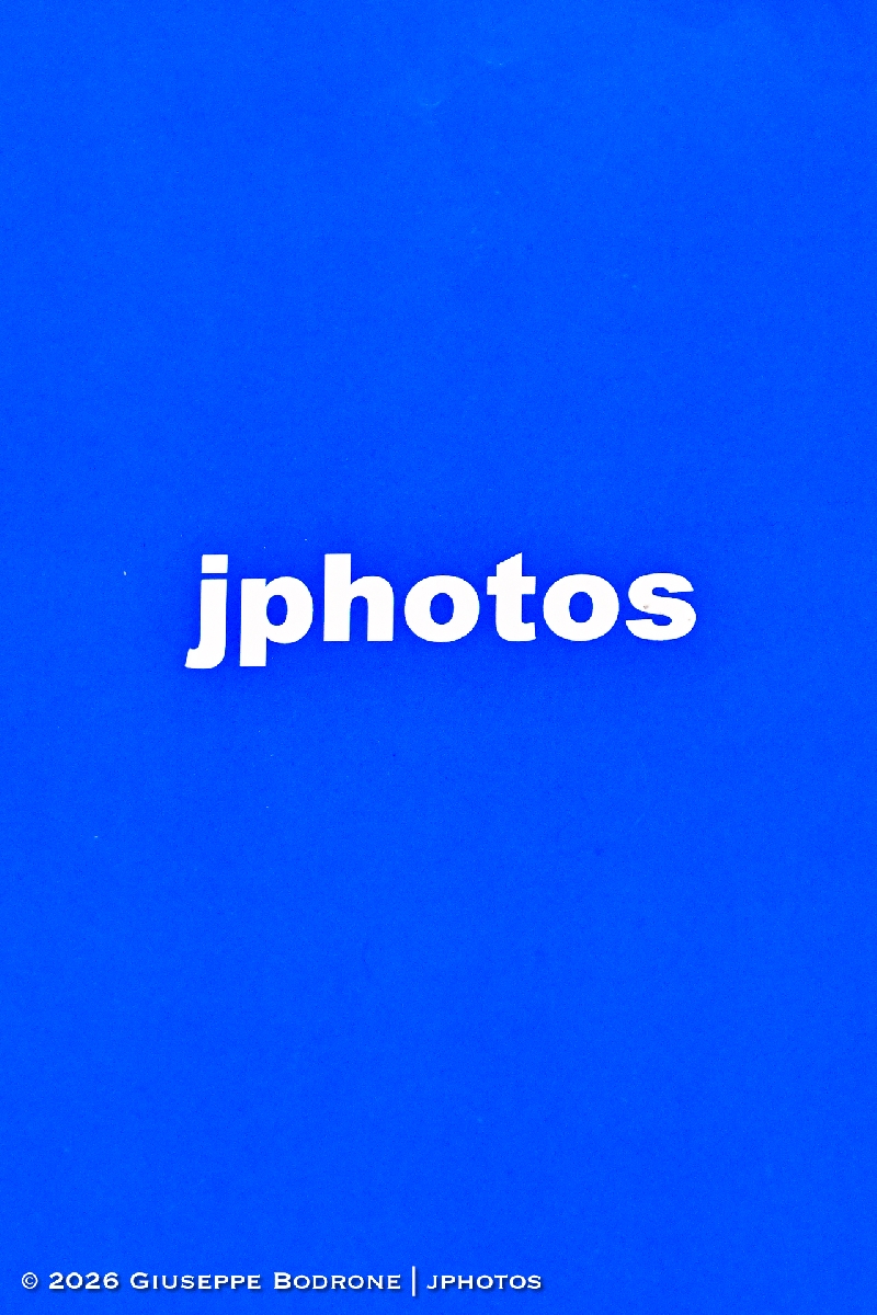 Coupe Printemps-6003